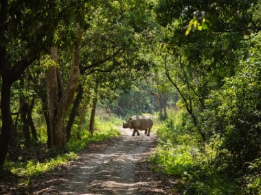 Naturally Nepal