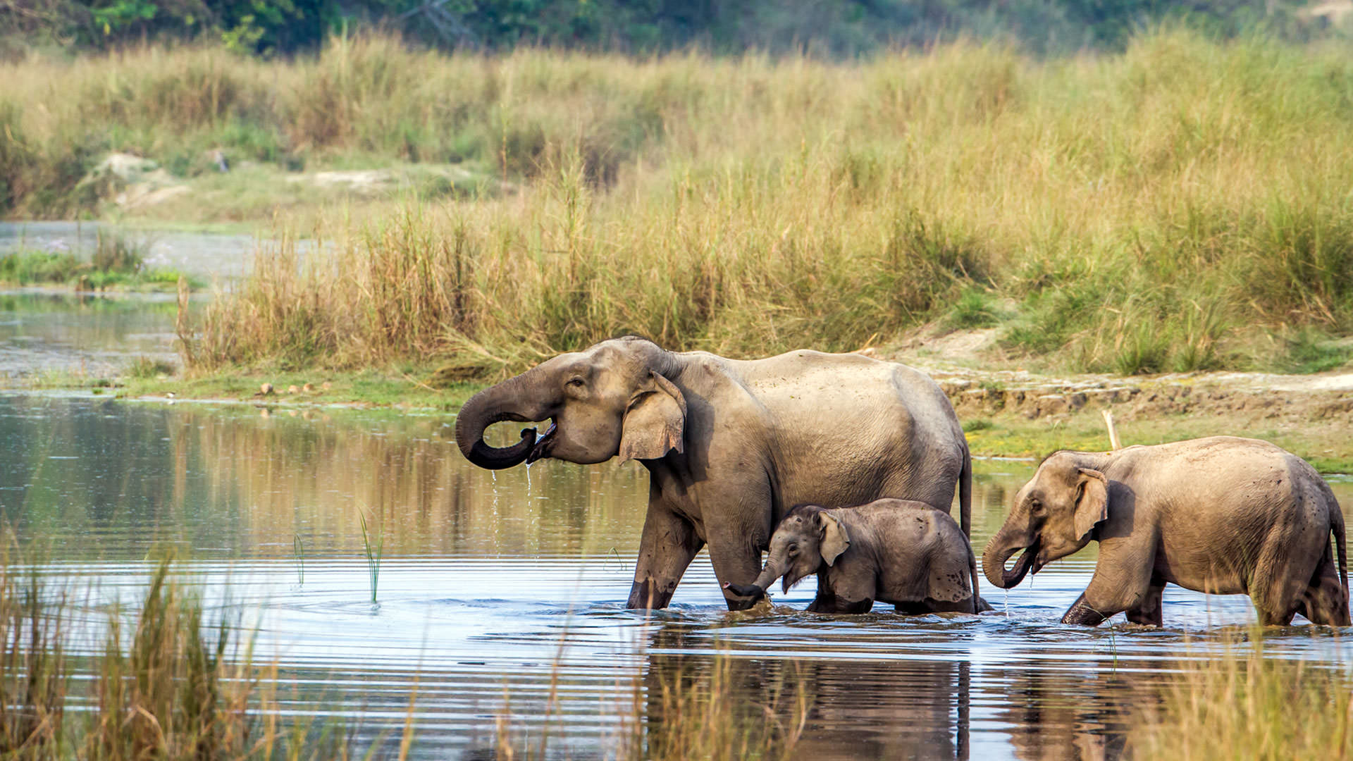 Kathmandu, Pokhara & Chitwan